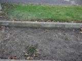 image of grave number 185808
